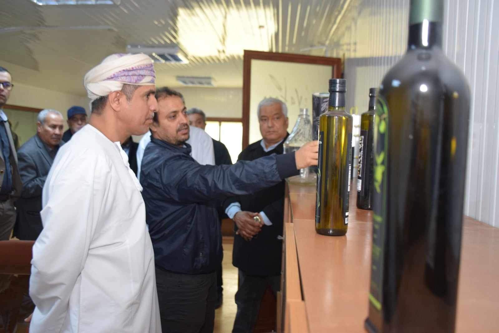 Professional olive oil presentation for international buyers