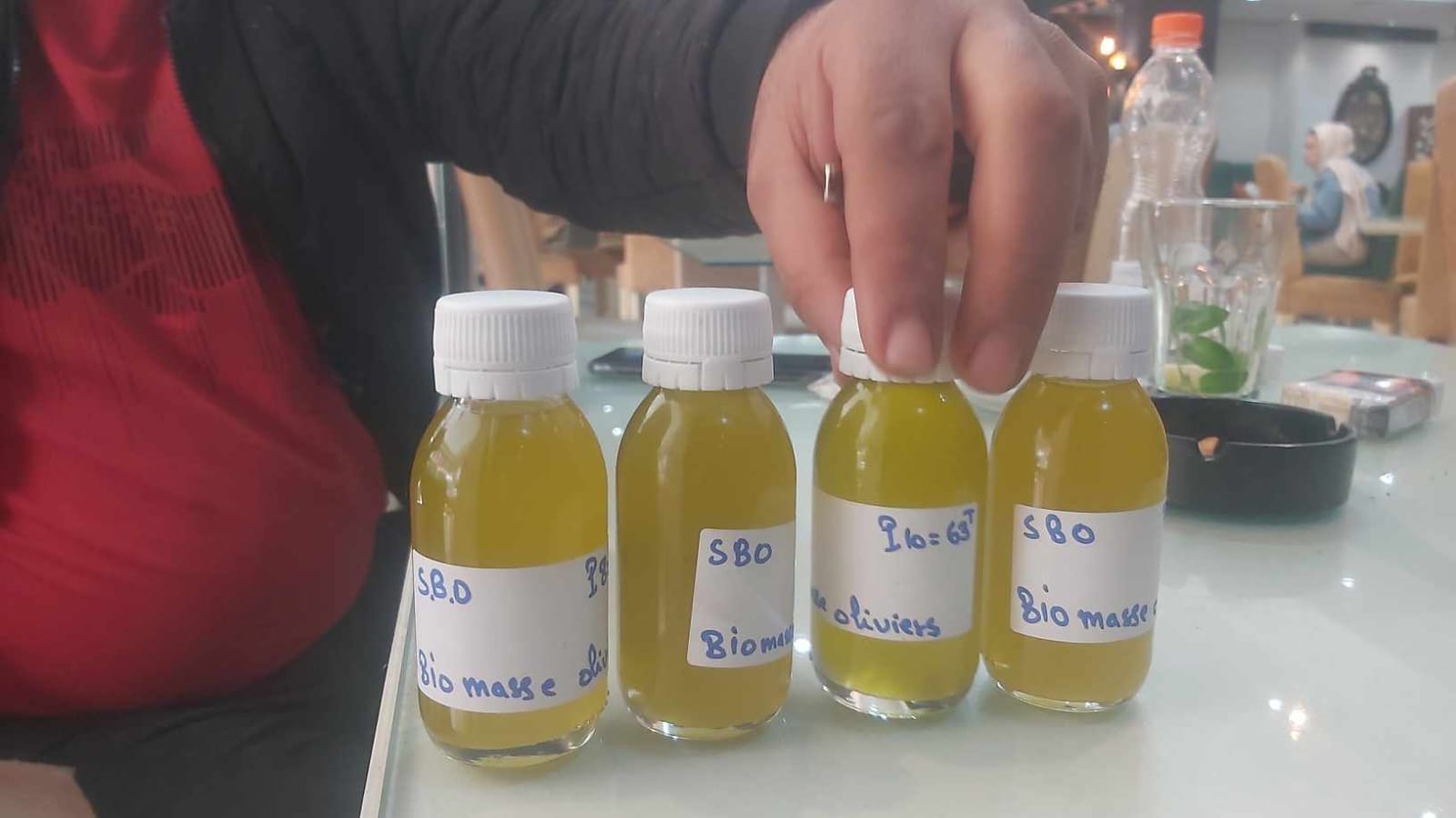 橄榄果渣油与生物质样品