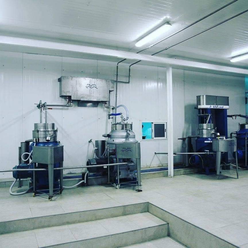 Salle de transformation et équipements pour huile d’olive
