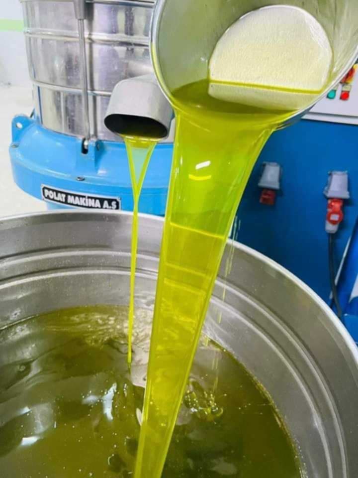 过滤中的橄榄油进行目视检查