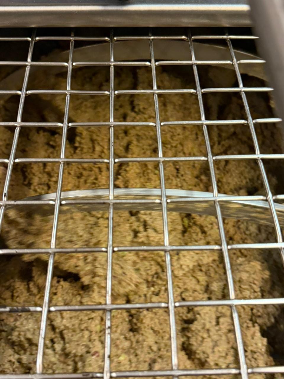 不锈钢设备中的橄榄浆